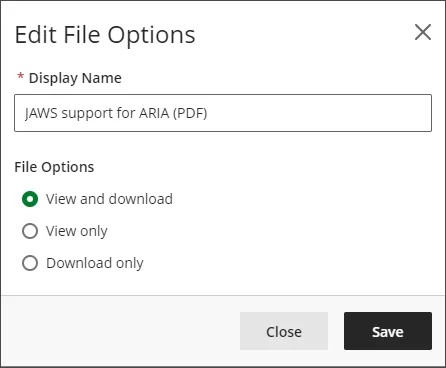 La ventana Editar opciones de archivo, con el campo Nombre para mostrar (obligatorio) y las Opciones de archivo, que incluyen Ver y descargar, Solo ver y Solo descargar.