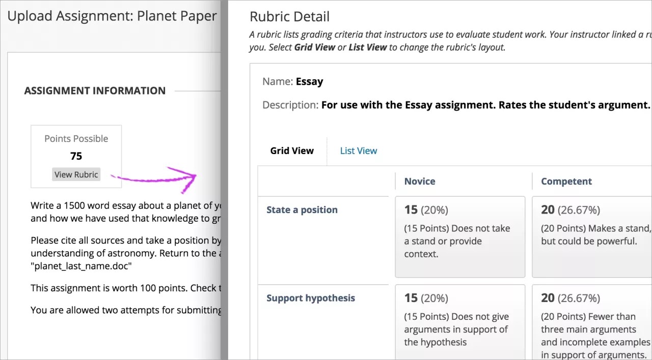 On the left, the Upload Assignment page has an arrow from the View Rubric button to the window on the left showing the Rubric Detail page.