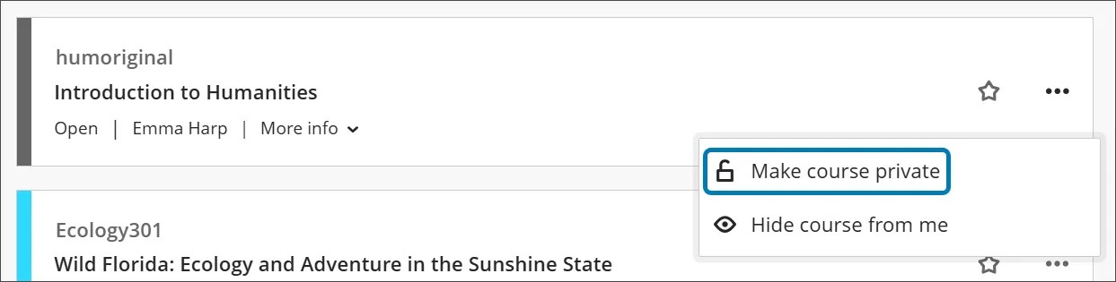 A course as it is displayed in the base navigation with the More options menu open and "Make course private" highlighted
