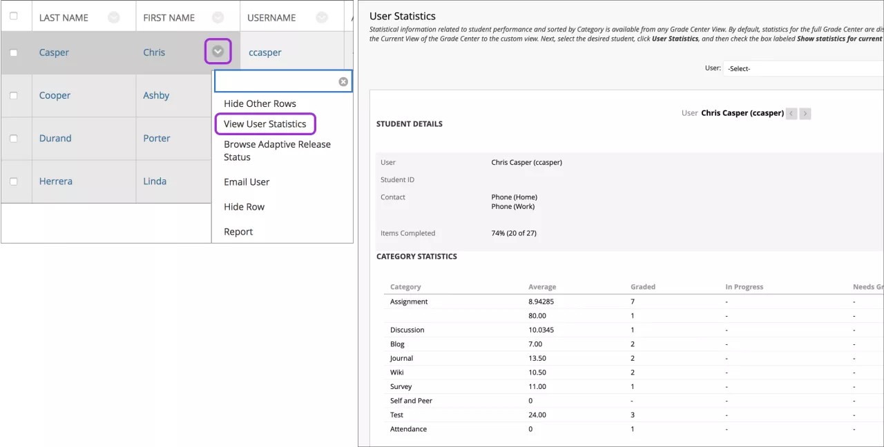 In the Grade Center, access a user's menu and select View User Statistics