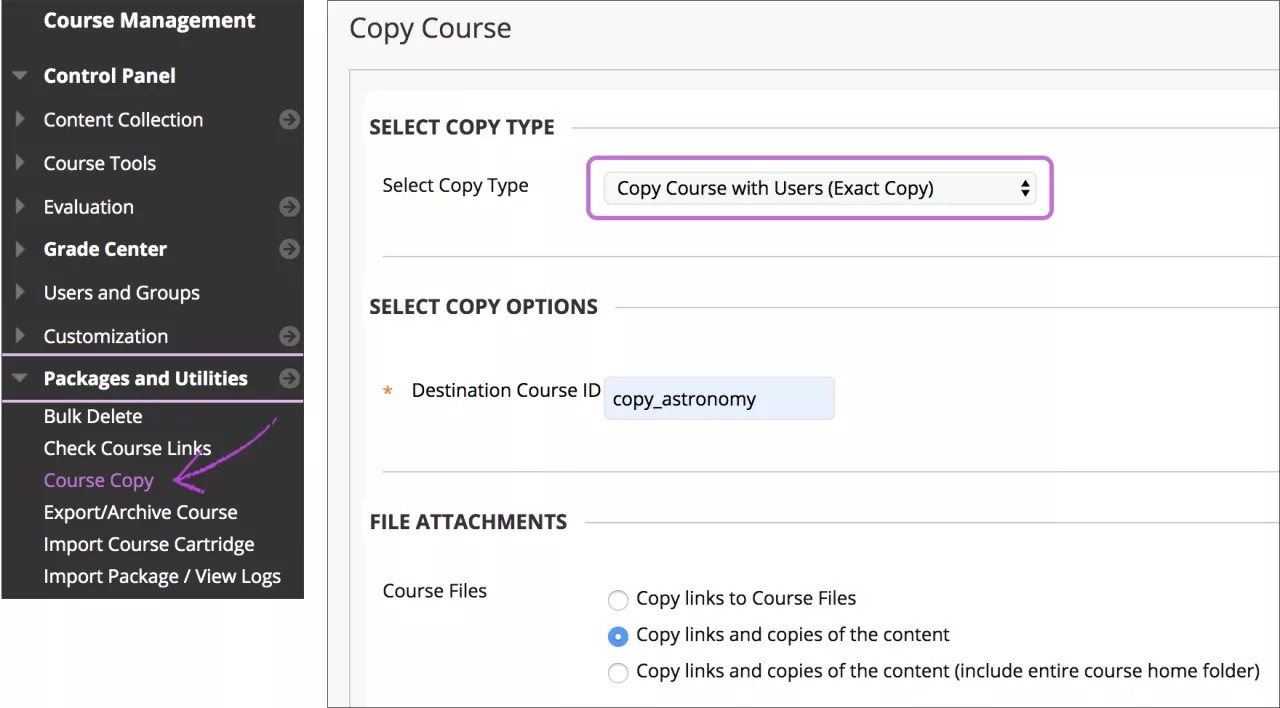 Select Packages and Utilities, then Course copy then select the copy type
