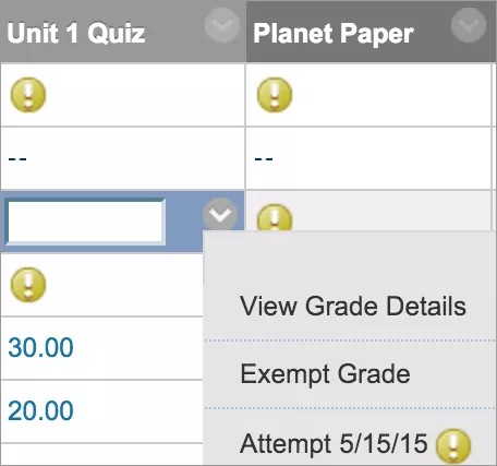 Assessment with grade details