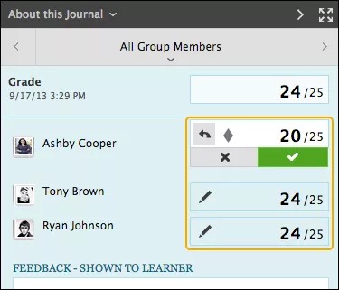 View of the grades for each group member