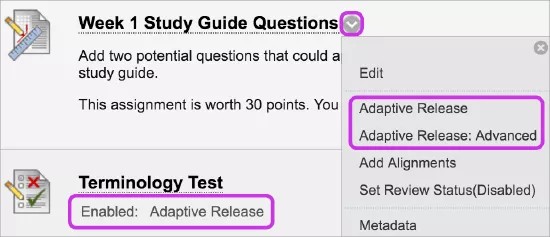 A course item with an opened menu dropdown for that item. Adaptive Release and Adaptive Release: Advanced highlighted in violet. Another course item shows the labeling Enabled: Adaptive Release.