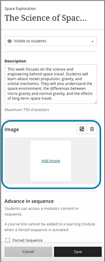 Image of the panel for editing a learning module, highlighting the image option in the middle