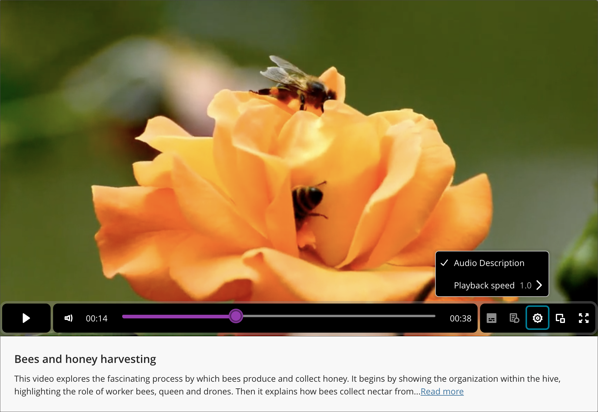 blackboard-instructor-video-studio-audio-descriptions-settings.png