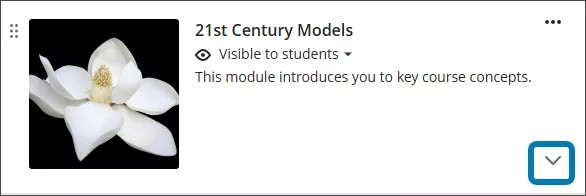 Een leermodule, waarbij de pijl wordt gemarkeerd om de inhoud van een leermodule uit te breiden