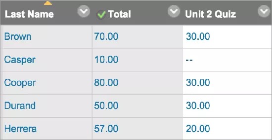 Resultat Center-kolumner med kolumnrubriker för Efternamn, Total och Enhet 2 Quiz