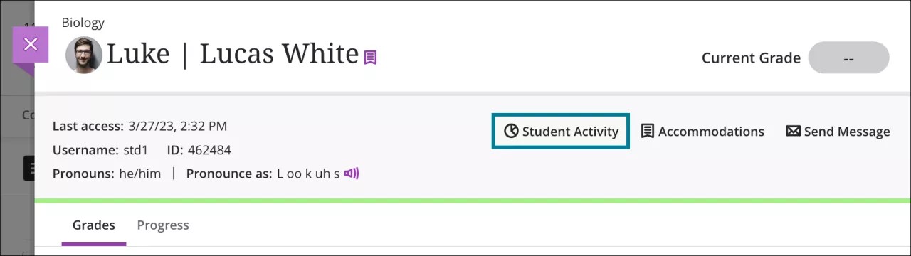 学生概览标题的图片，其中“学生活动”按钮以蓝色边框标出。