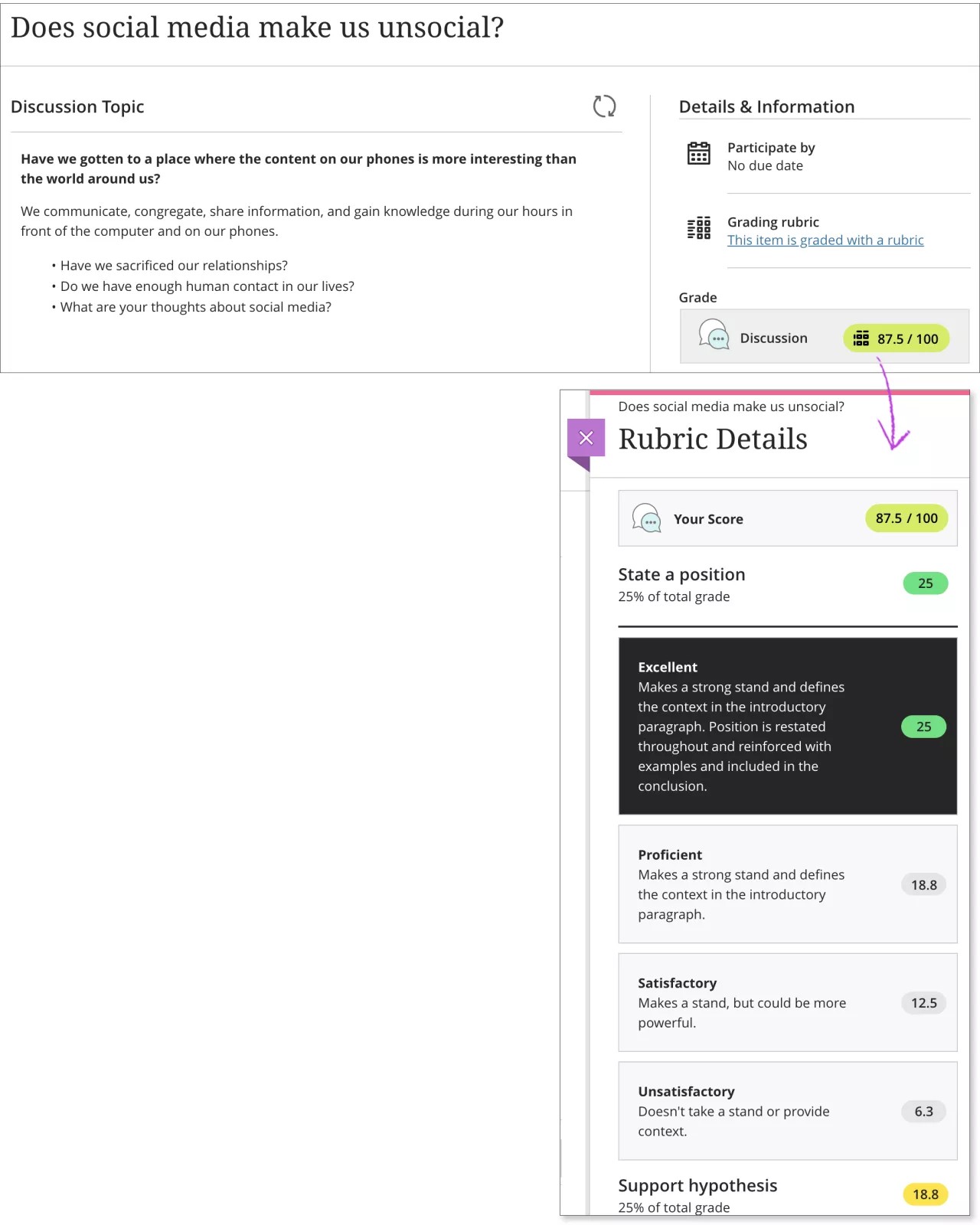 Eine Diskussion mit einem Pfeil, der darauf hinweist, dass das Bewertungsfeld zum Fenster „Rubrikdetails“ führt. Die Rubrik wurde um das Kriterium „Staatliche Position“ erweitert.