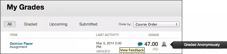 My grades page showing a students assignment, last activity information, and grade.