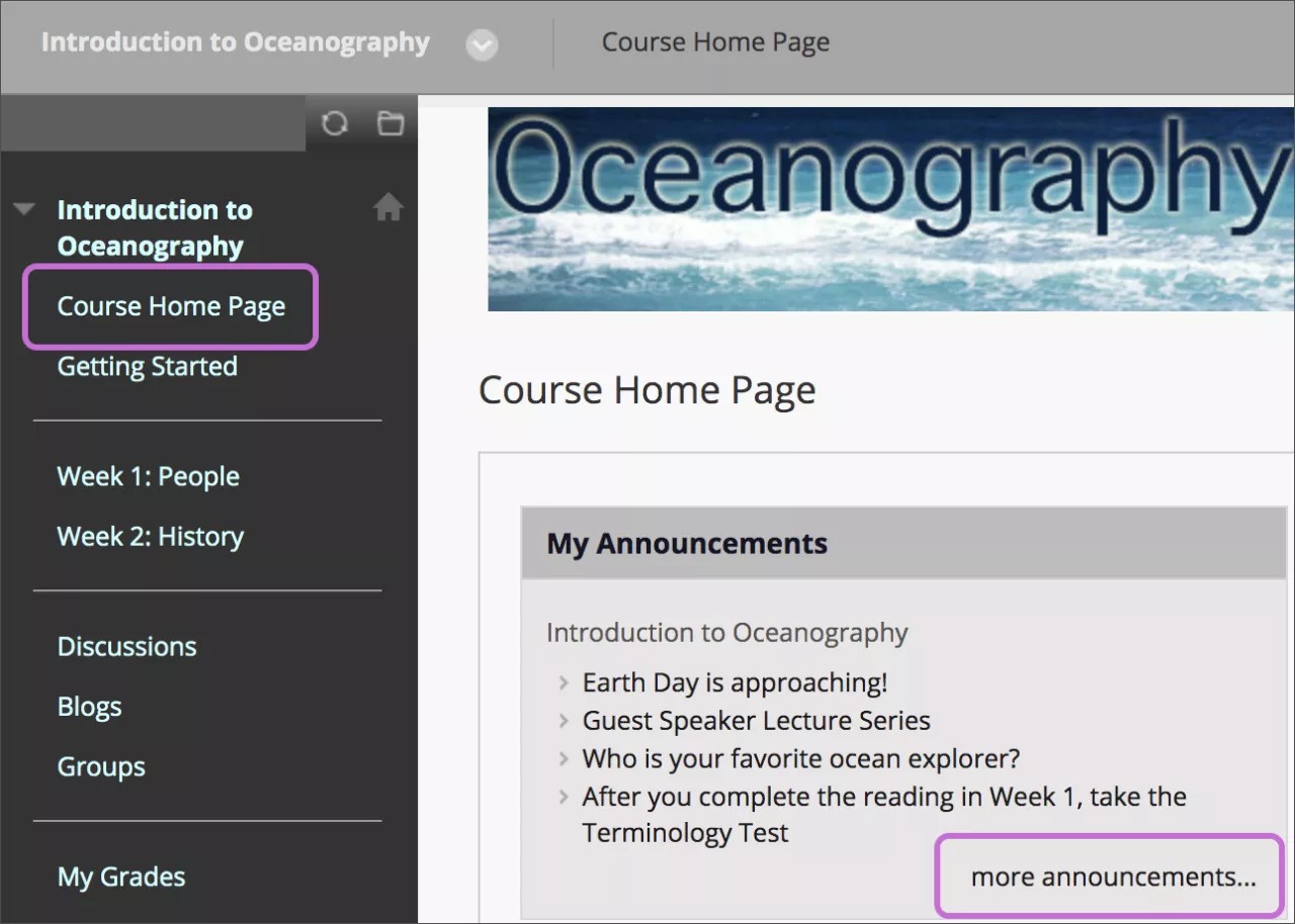 Course Home page with Course Home Page option highlighted in the Course menu.