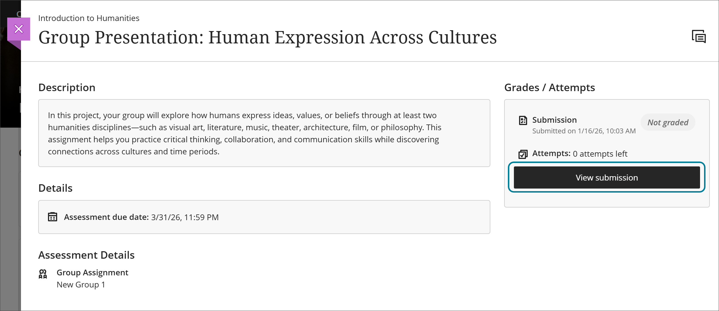 The assignment details panel for the Group Presentation: Human Expression Across Cultures assignment showing a submission has been made but not graded. In the Grades/Attempts section, the submission is noted as Not graded and the View submission button is highlighted with a box.