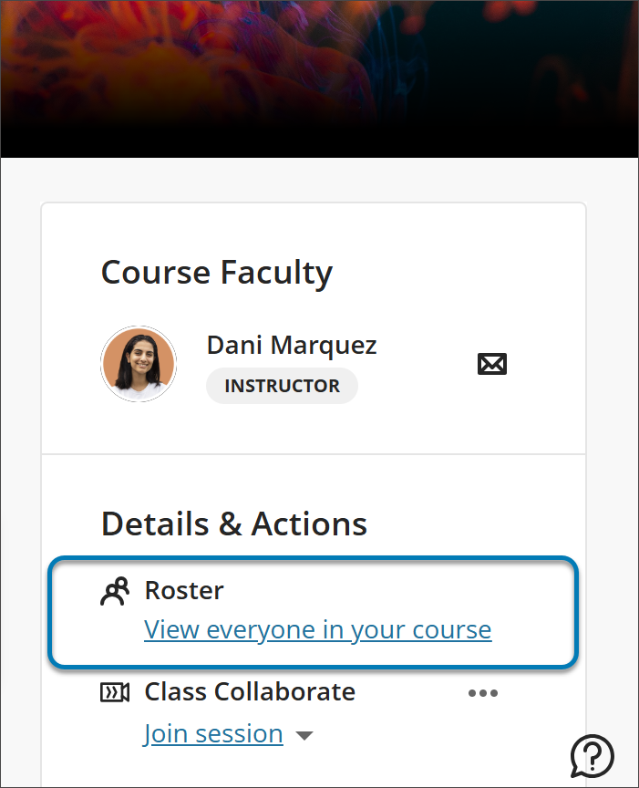 Detail of the Details and Actions panel on the Course Content page of a course. The option Roster and View everyone in your course link are highlighted with a blue box surrounding it.