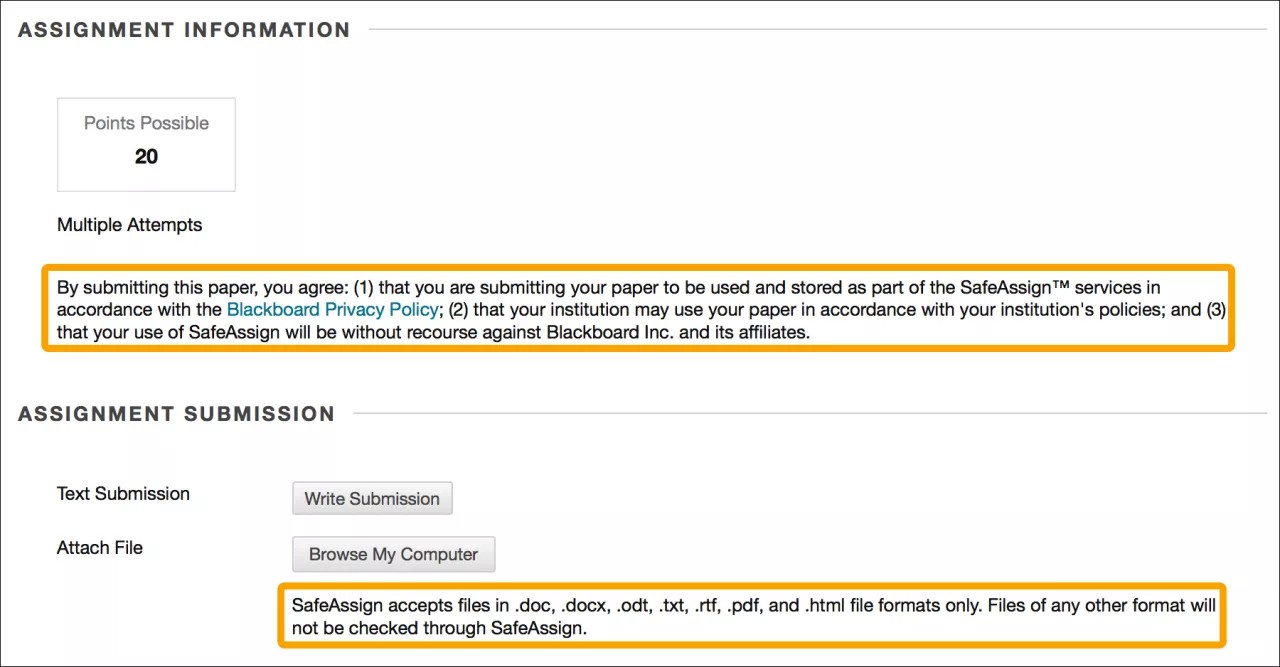 Assignment information page with Multiple Attempts and Attach files accepted formats fields highlighted.