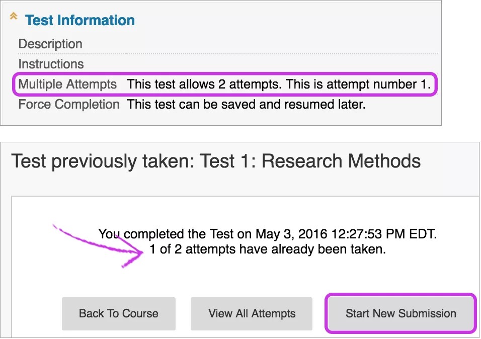 Test Information page with Multiple Attempts field and Start New Submission highlighted.