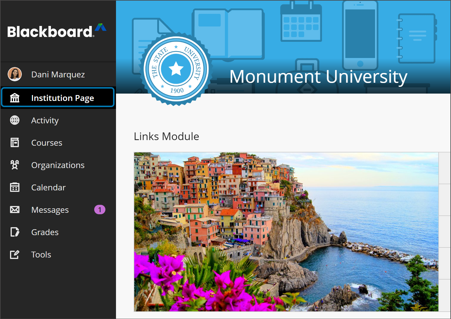 Institution Page with the Institution Page option highlighted with a blue box on the Base Navigation menu.