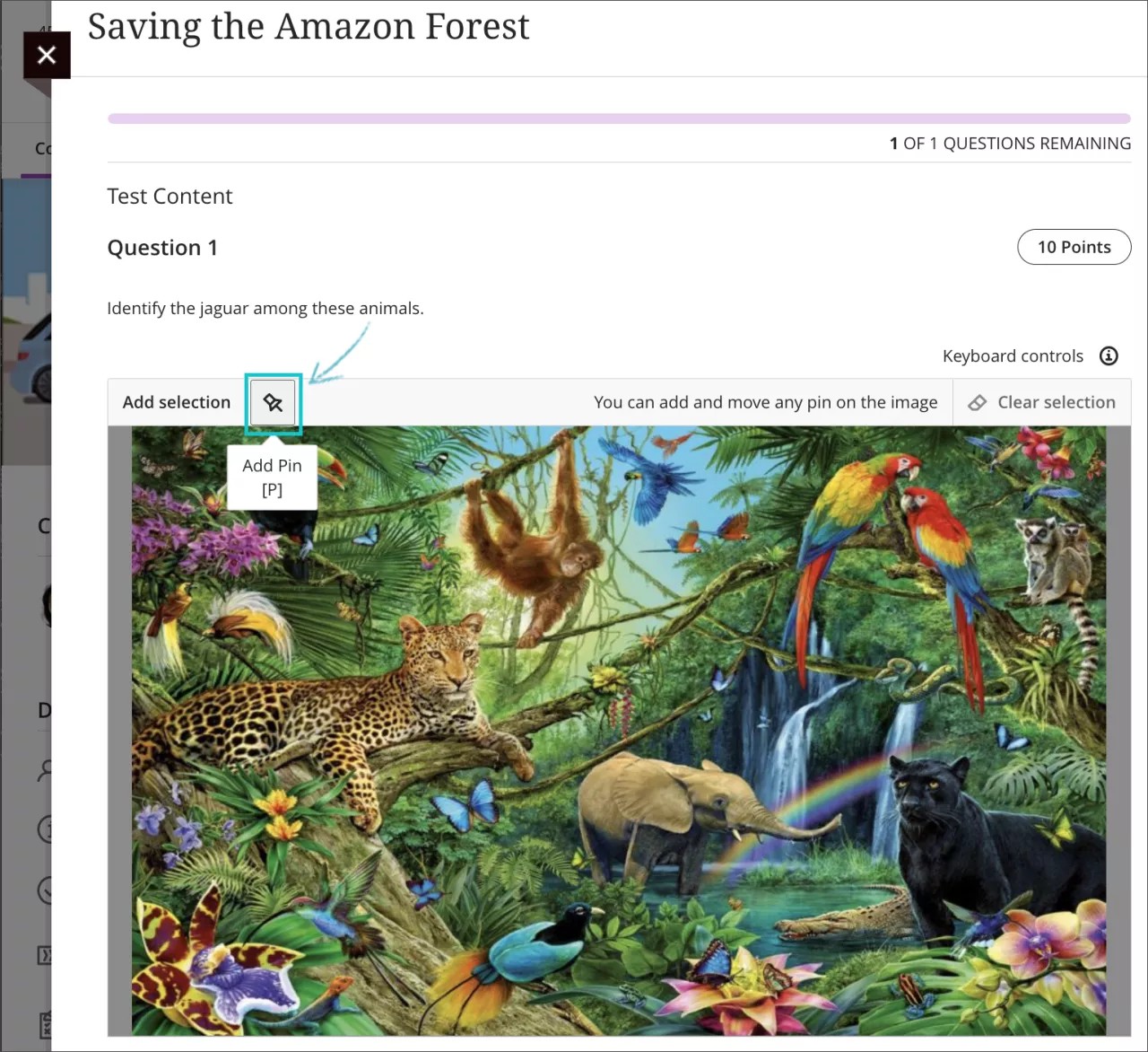 질문 이미지 위의 핀 아이콘을 사용하여 핫스팟 선택