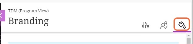 The Branding screen, with the Branding icon, which looks like a paint bucket, highlighted in orange.