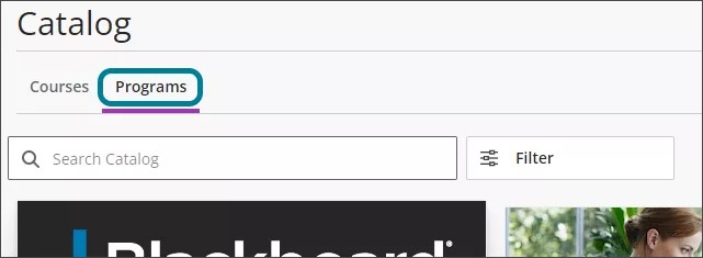Catalog screen with a Course tab and a Programs tab. The Programs is tab highlighted in blue.