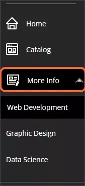 The navigation pane, showing an information page titled More Info highlighted in orange below the Catalog link, expanded to show three subpages titled Web Development, Graphic Design, and Data Science