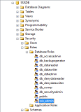 ssis_admin role