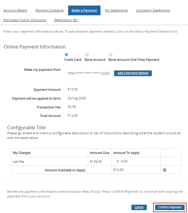 Make a Payment tab - Payment Info