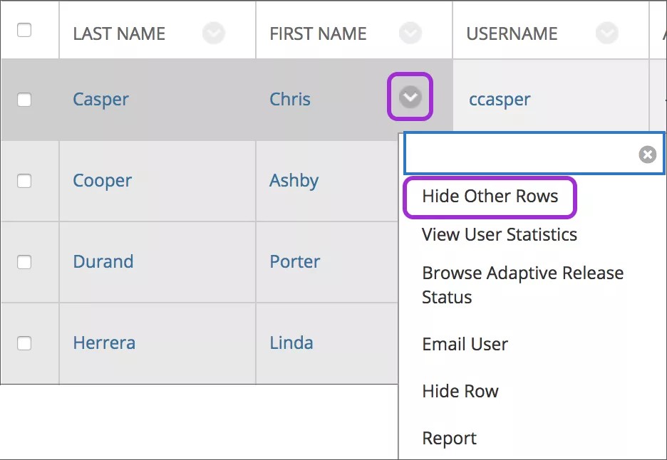 Select the caret next to the student's name then select Hide Other Rows
