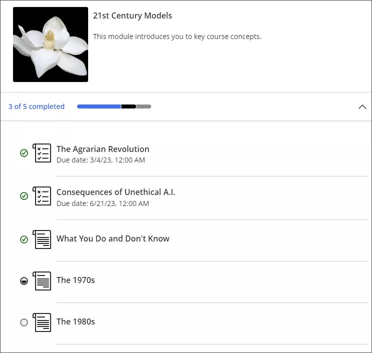 Image of a learning module from the student's point of view, showing progress through the module