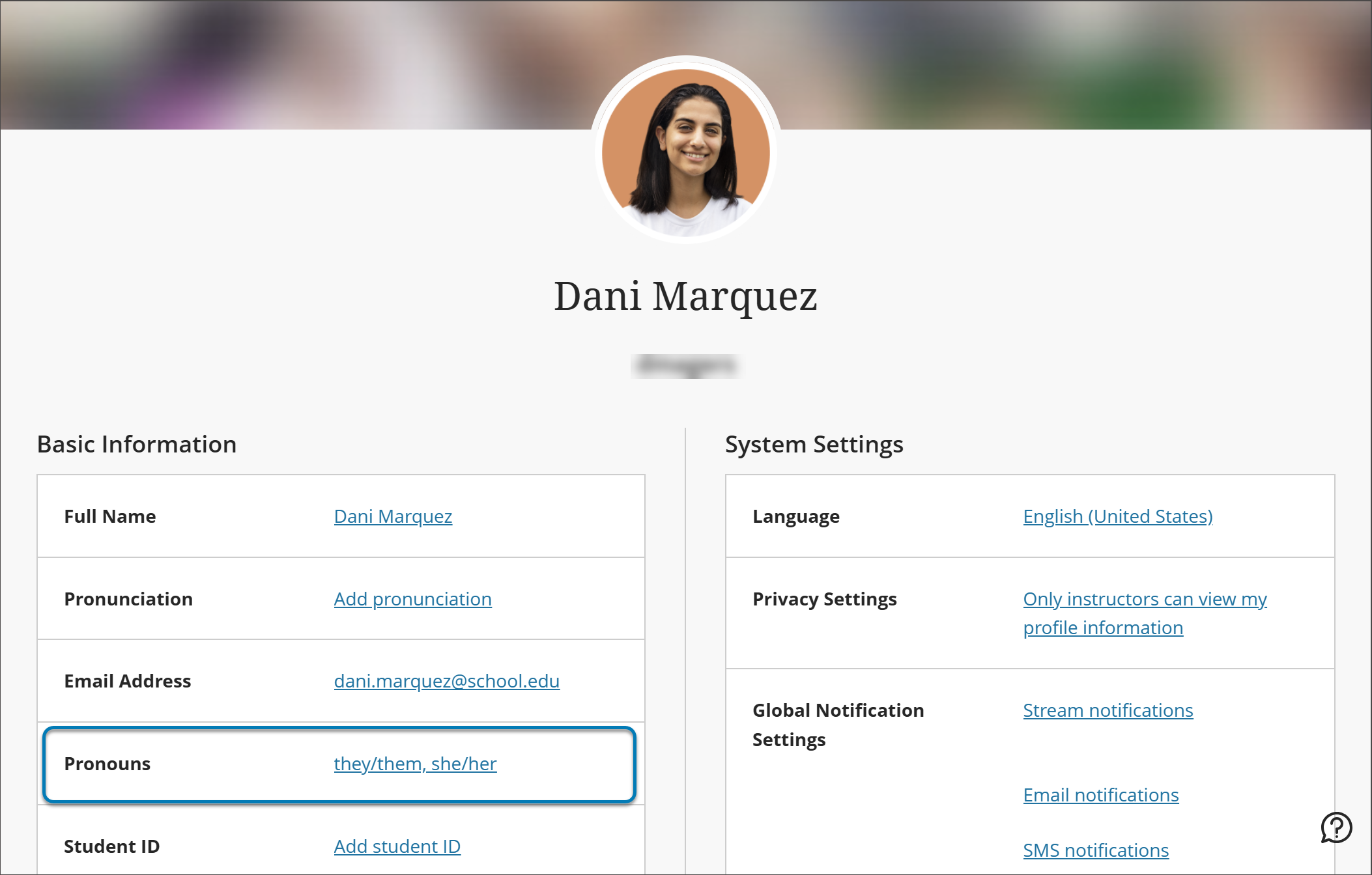 Profile page with Pronouns settings highlighted with a blue box.