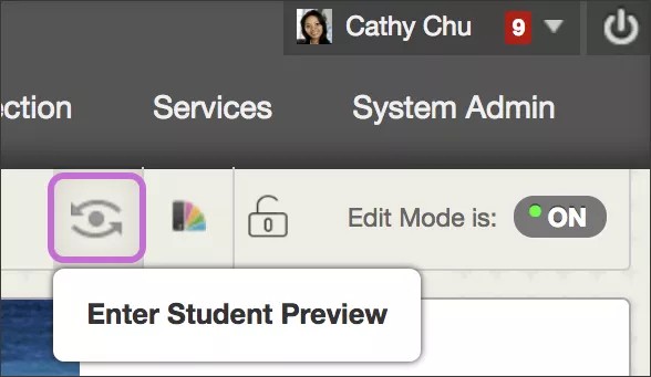 The Enter Student Preview icon highlighted in purple