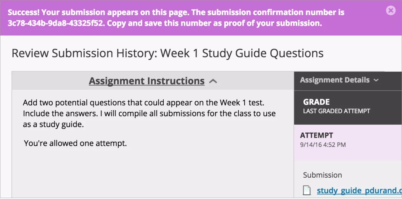 The Success Message with the confirmation number a student sees when submitting an assignment.