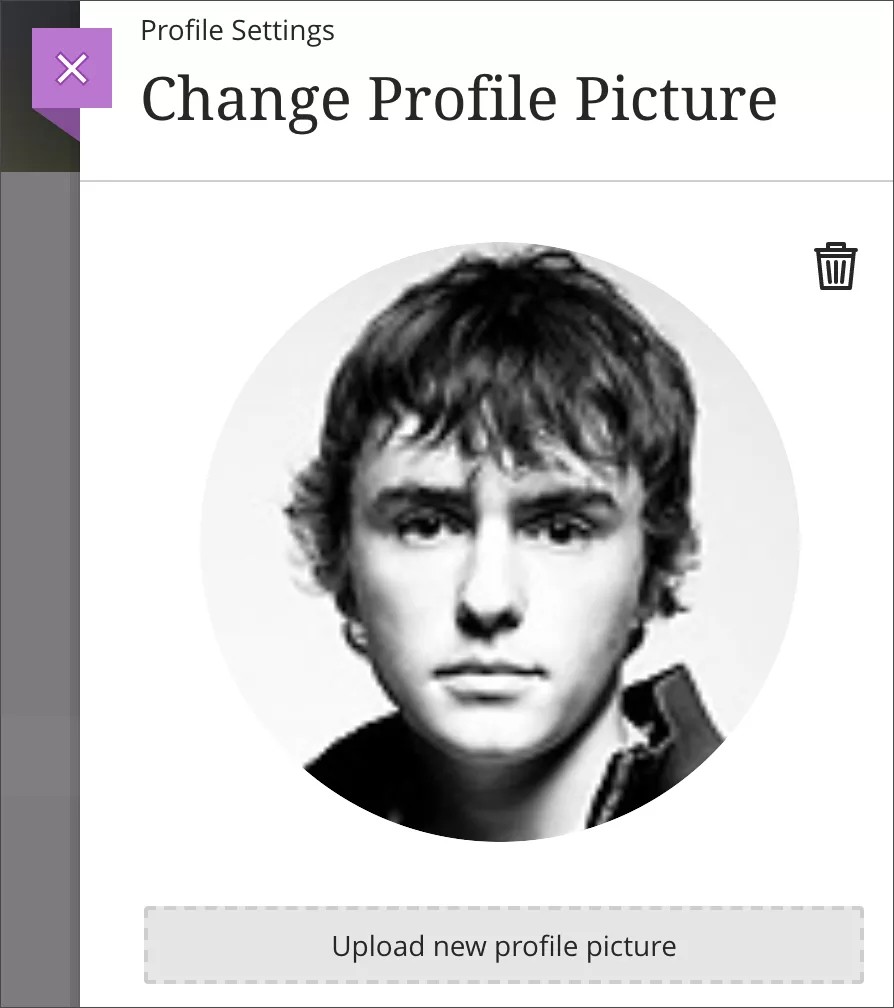 The Change Profile Picture page, showing the current profile picture, the Delete icon, and the Upload new profile picture button.