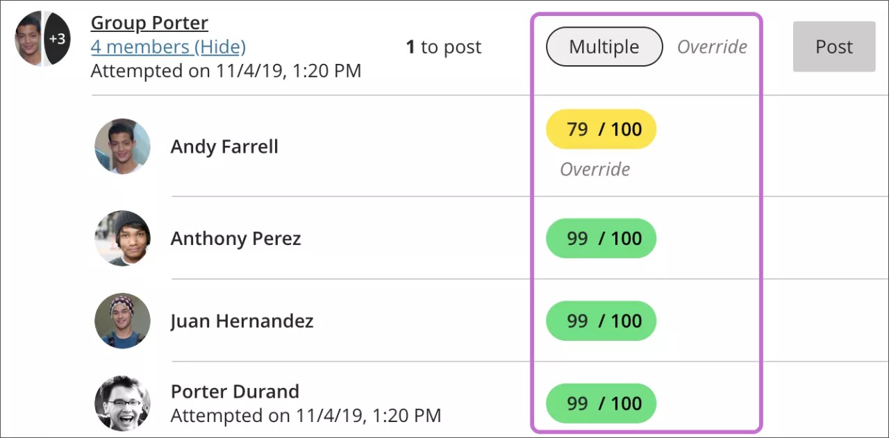 An example group assignment grade page is open with the overall's group grade (shown as "Multiple") and an individual member's grade (labeled as "Override") highlighted.