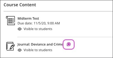 A journal on the Course Content page, with the new icon highlighted